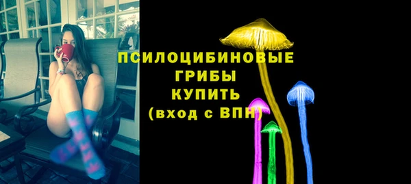 ПСИЛОЦИБИНОВЫЕ ГРИБЫ Елизово