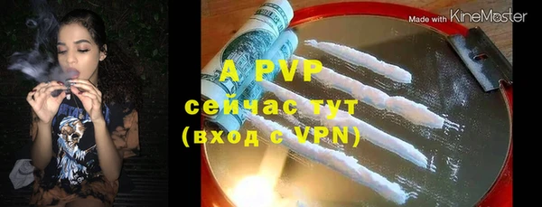 ПСИЛОЦИБИНОВЫЕ ГРИБЫ Елизово