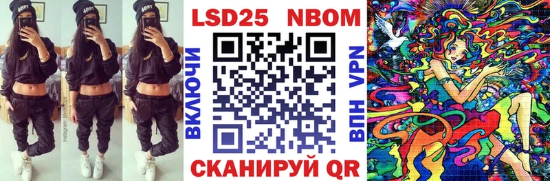 купить наркоту  Заводоуковск  мориарти Telegram  Марки NBOMe 1,8мг 