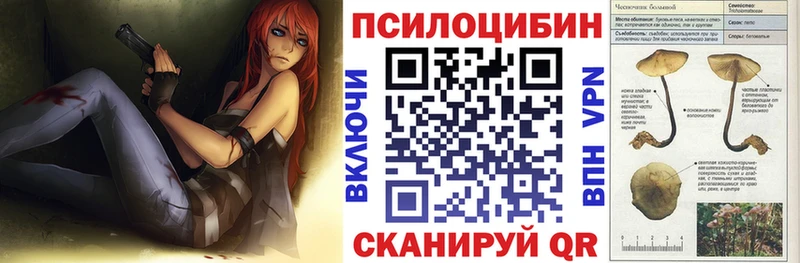 Галлюциногенные грибы Cubensis  как найти закладки  Заводоуковск 