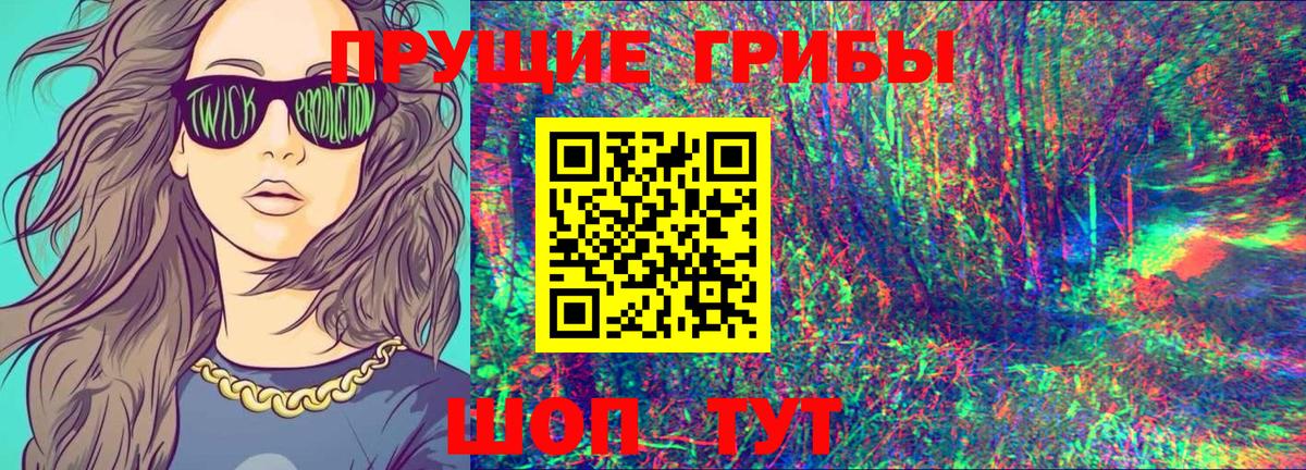 Галлюциногенные грибы мухоморы  Вход с VPN  Заводоуковск 